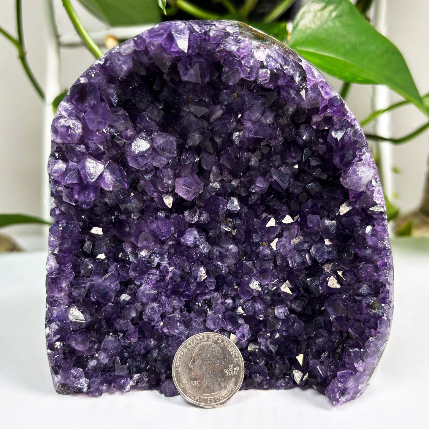 Amethyst Cut Base Geode Wholesale - Gem Avenue