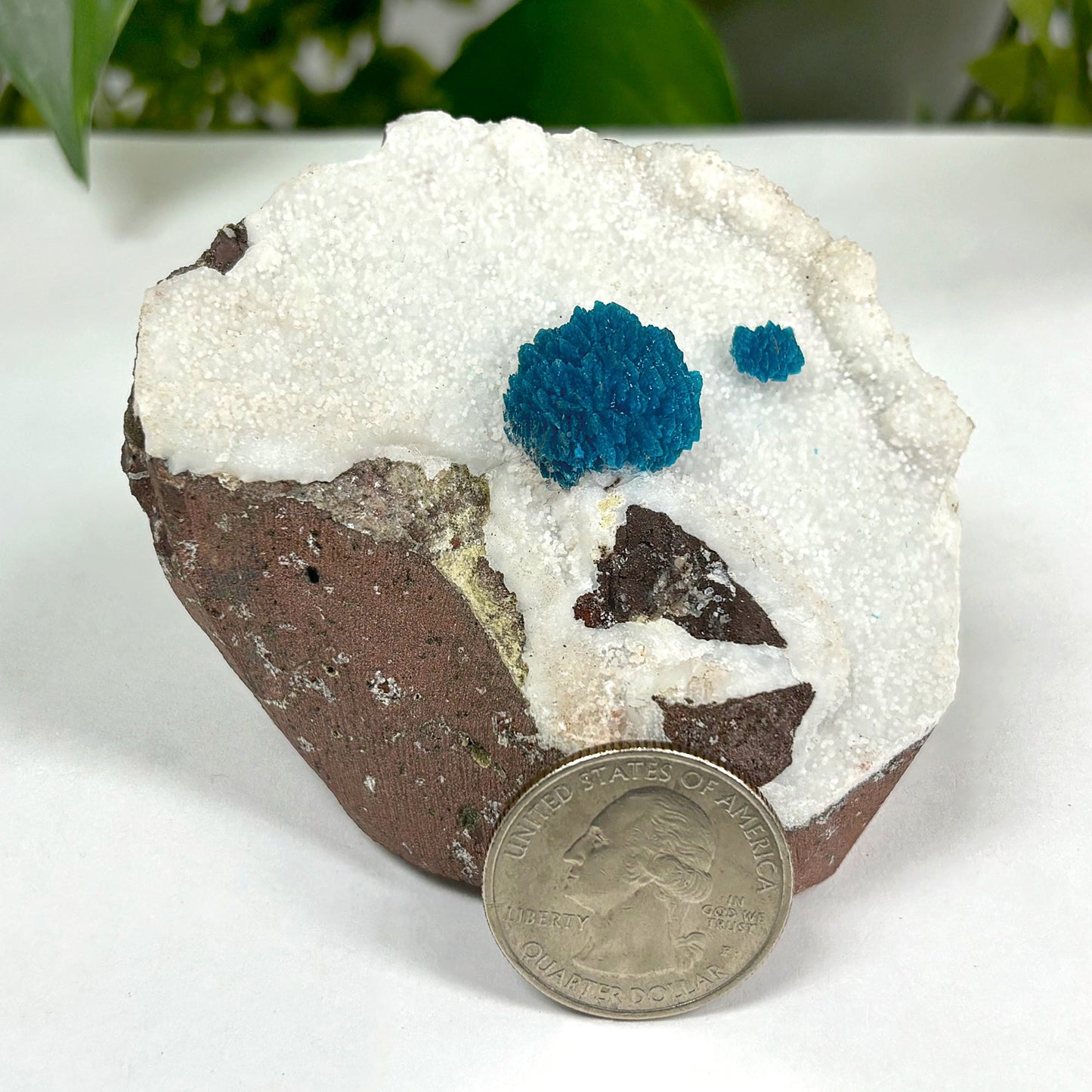 Exquisite Natural Cavansite Mineral Specimen Rare Vibrant Blue Crystal Formation for Collectors, Healing, Meditation & Display