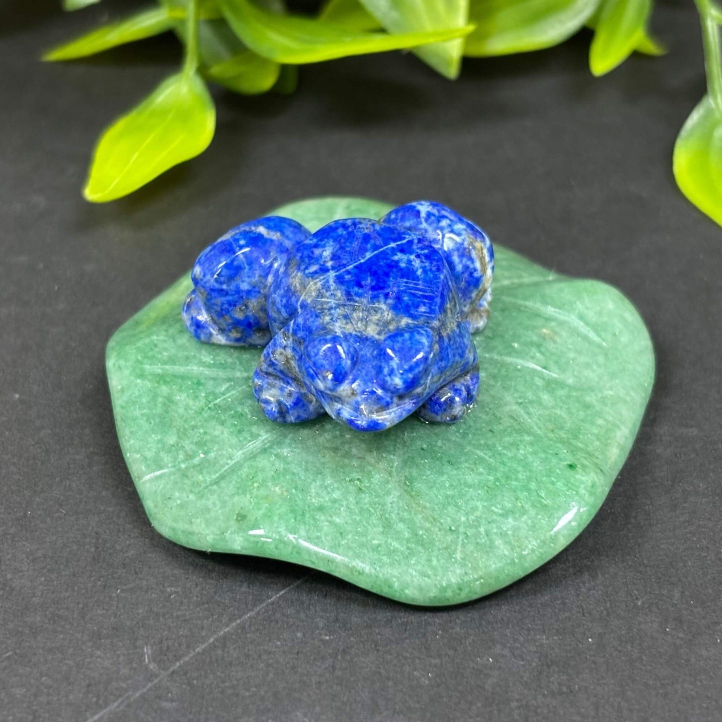 Lapis Lazuli Frog on Aventurine Lily Pad - RAN500-B