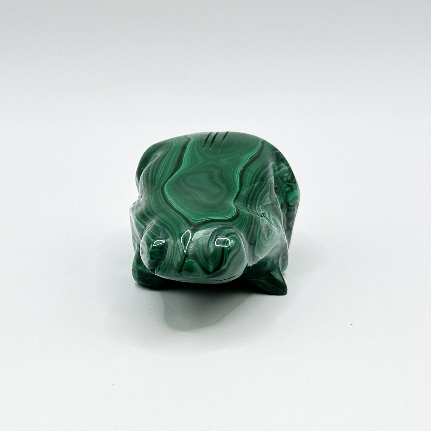 Natural Malachite Frog Carving - Gem Avenue