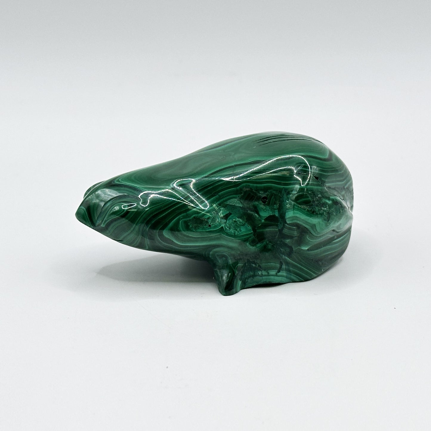 Natural Malachite Frog Carving - Gem Avenue