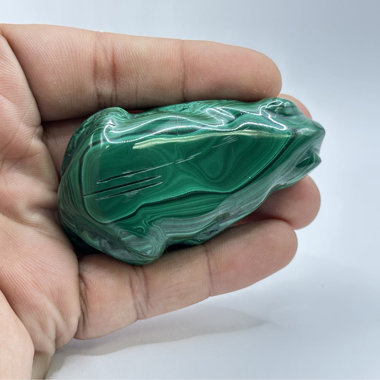 1.25 Inch Hand Carved Natural Malachite Frog Crystal Animal Figurine from Congo - RAN509