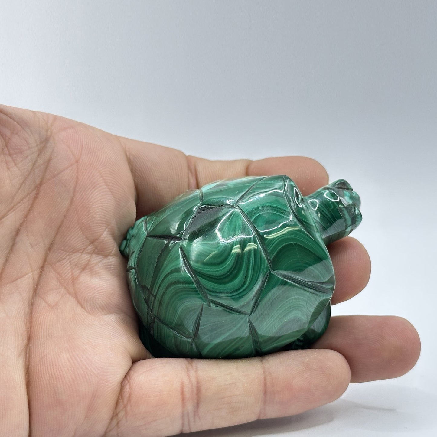 Natural Malachite Turtle Carving - Gem Avenue
