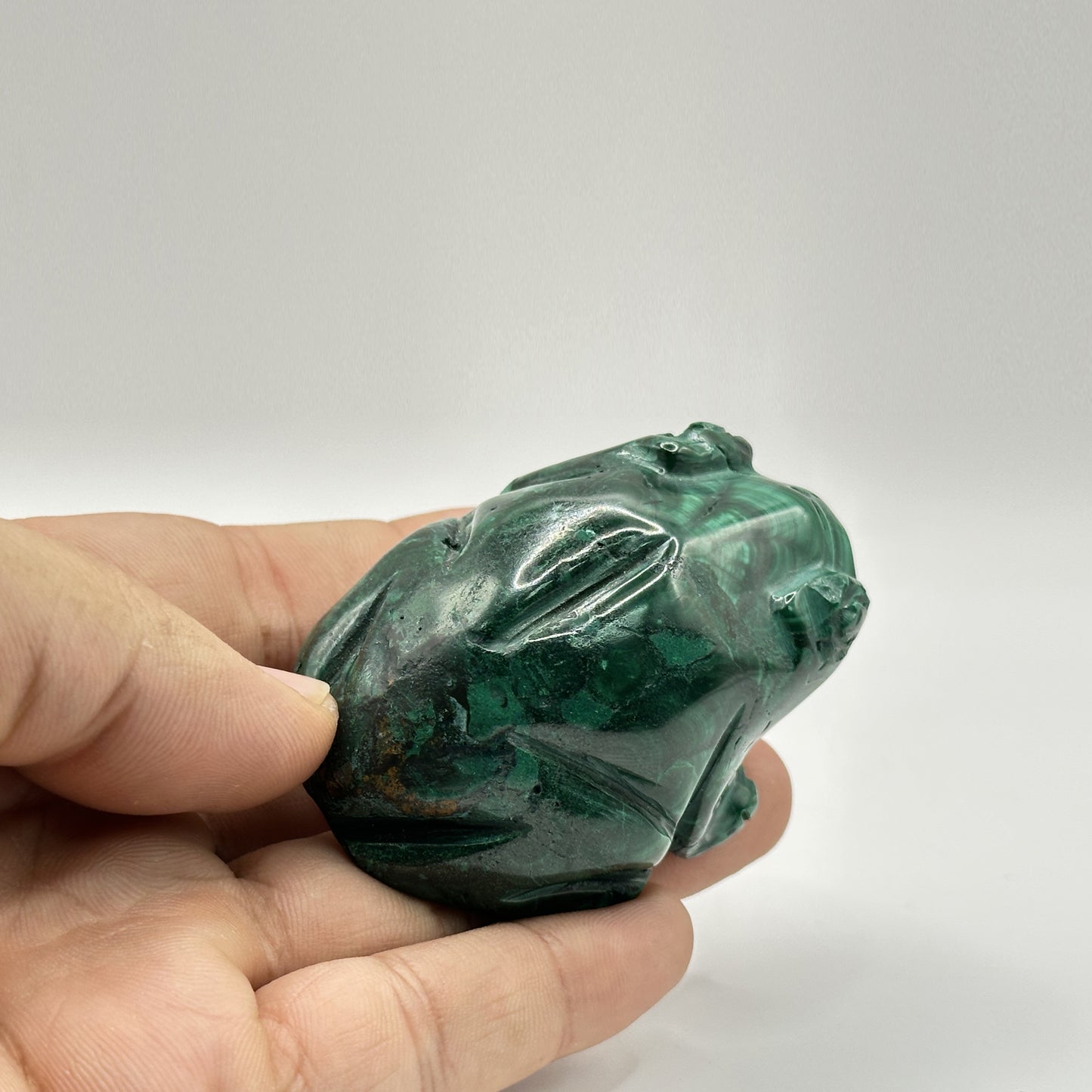 Natural Malachite Frog Carving - Gem Avenue