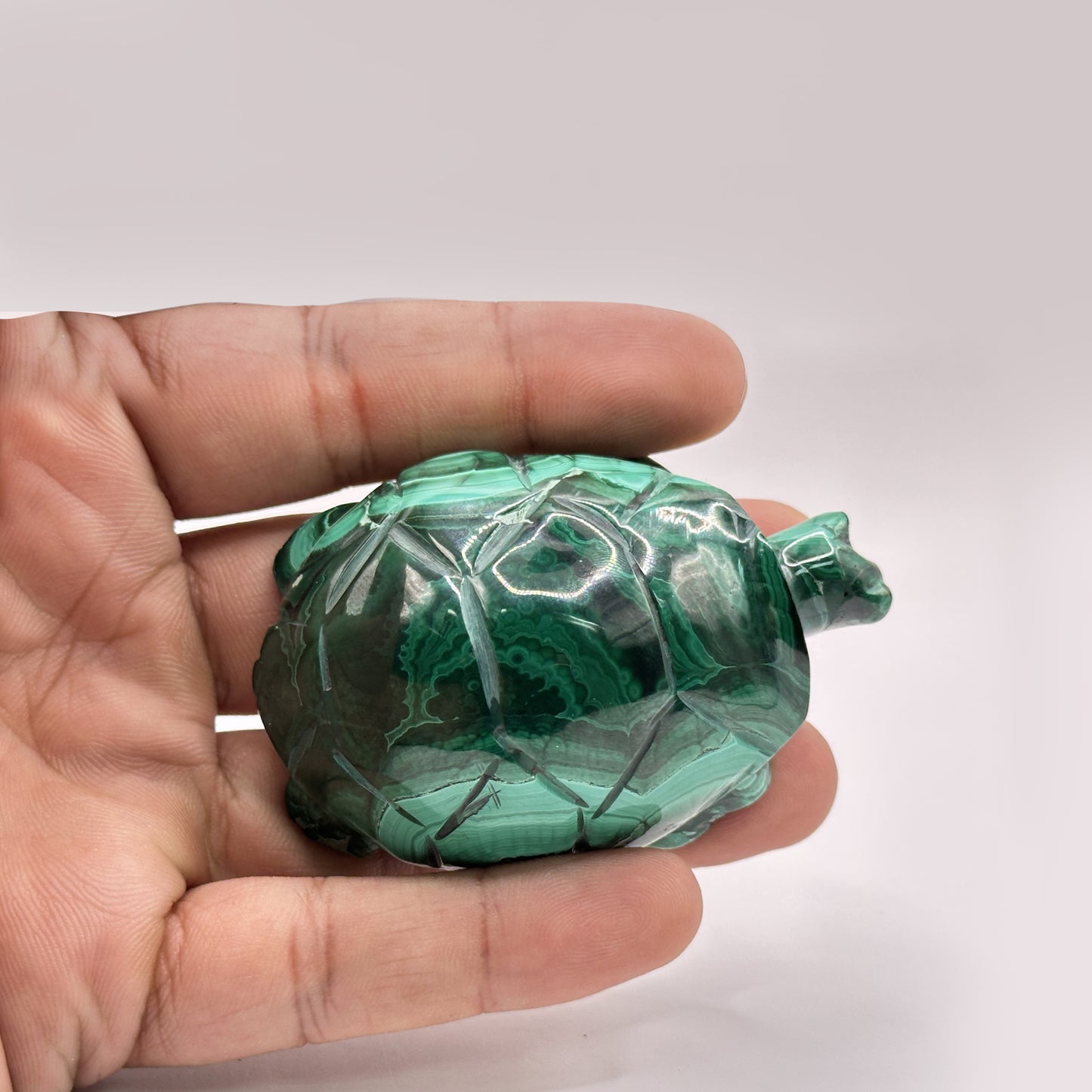 Natural Malachite Turtle Carving - Gem Avenue