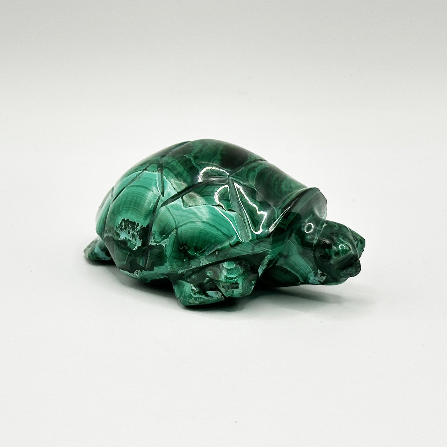 Natural Malachite Turtle Carving - Gem Avenue