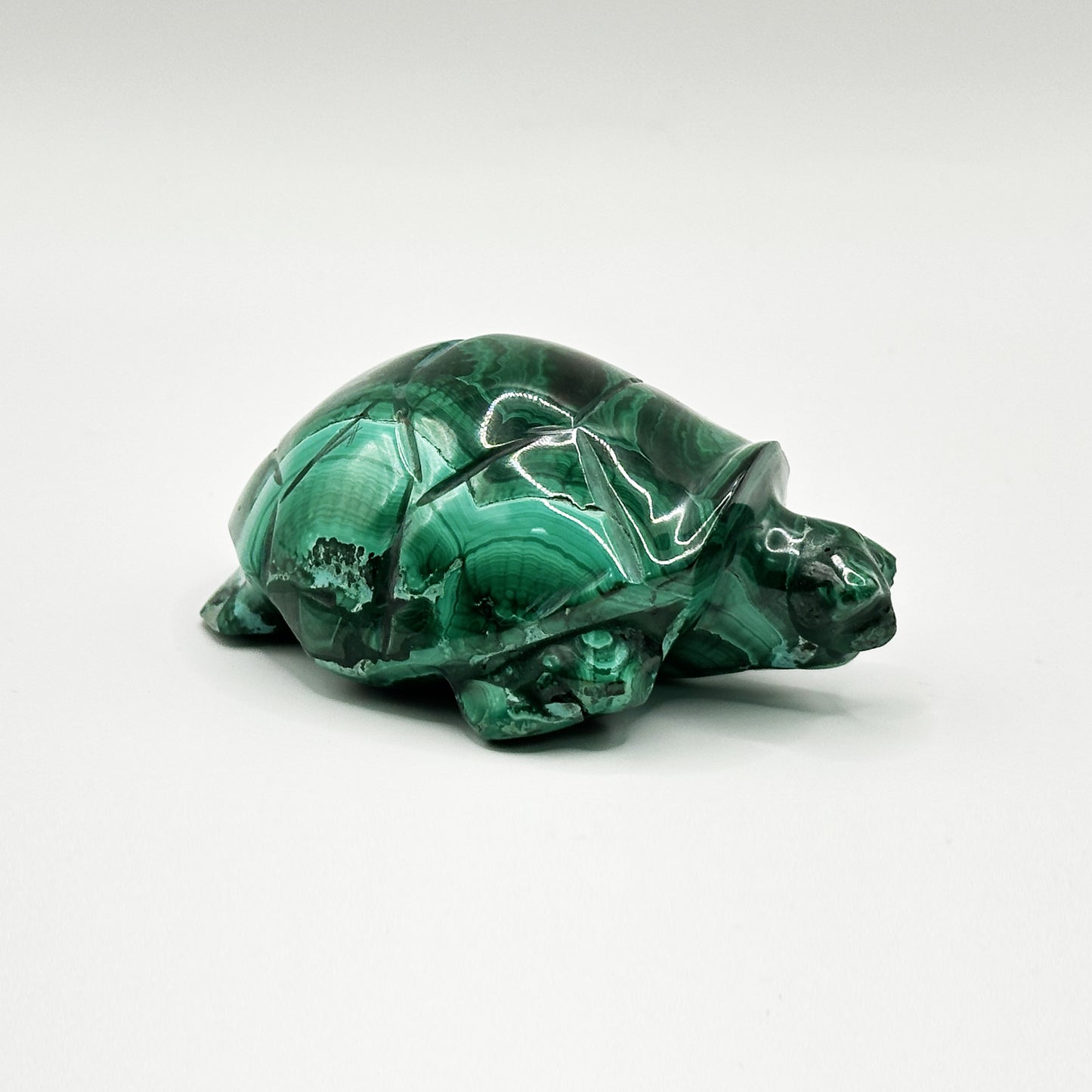 Natural Malachite Turtle Carving - Gem Avenue