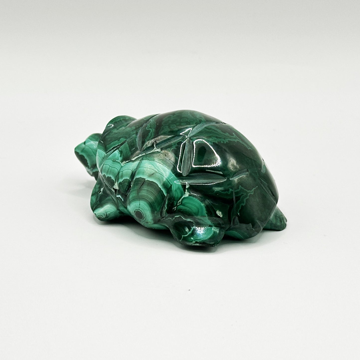 Natural Malachite Turtle Carving - Gem Avenue