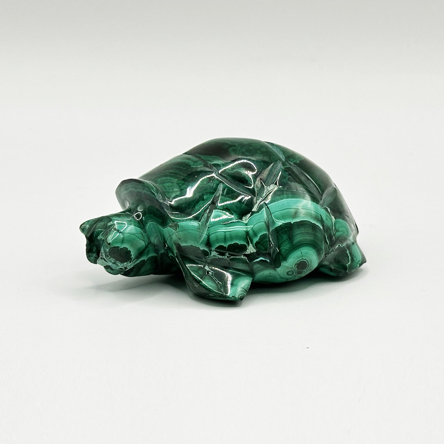 Natural Malachite Turtle Carving - Gem Avenue