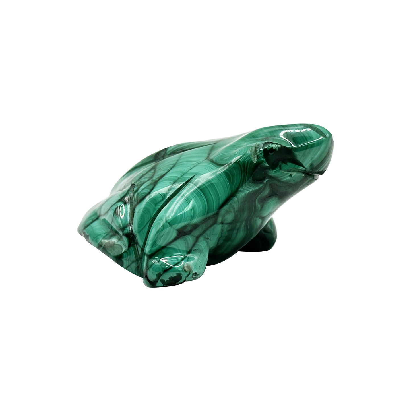 Natural Malachite Frog Carving - Gem Avenue