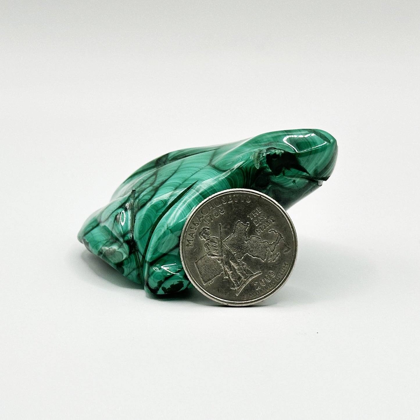 Natural Malachite Frog Carving - Gem Avenue