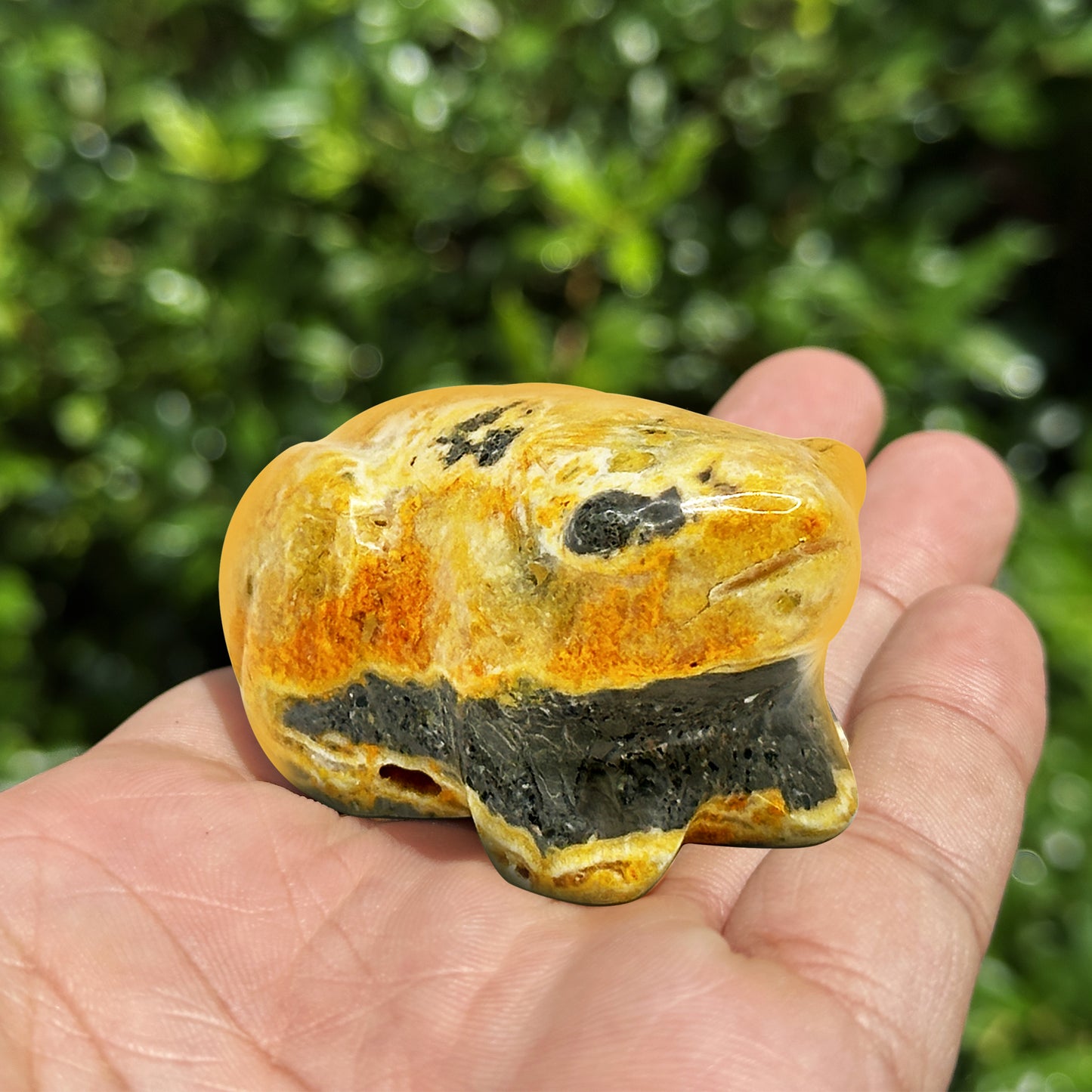 Bumble Be Jasper Frog Carving - Gem Avenue