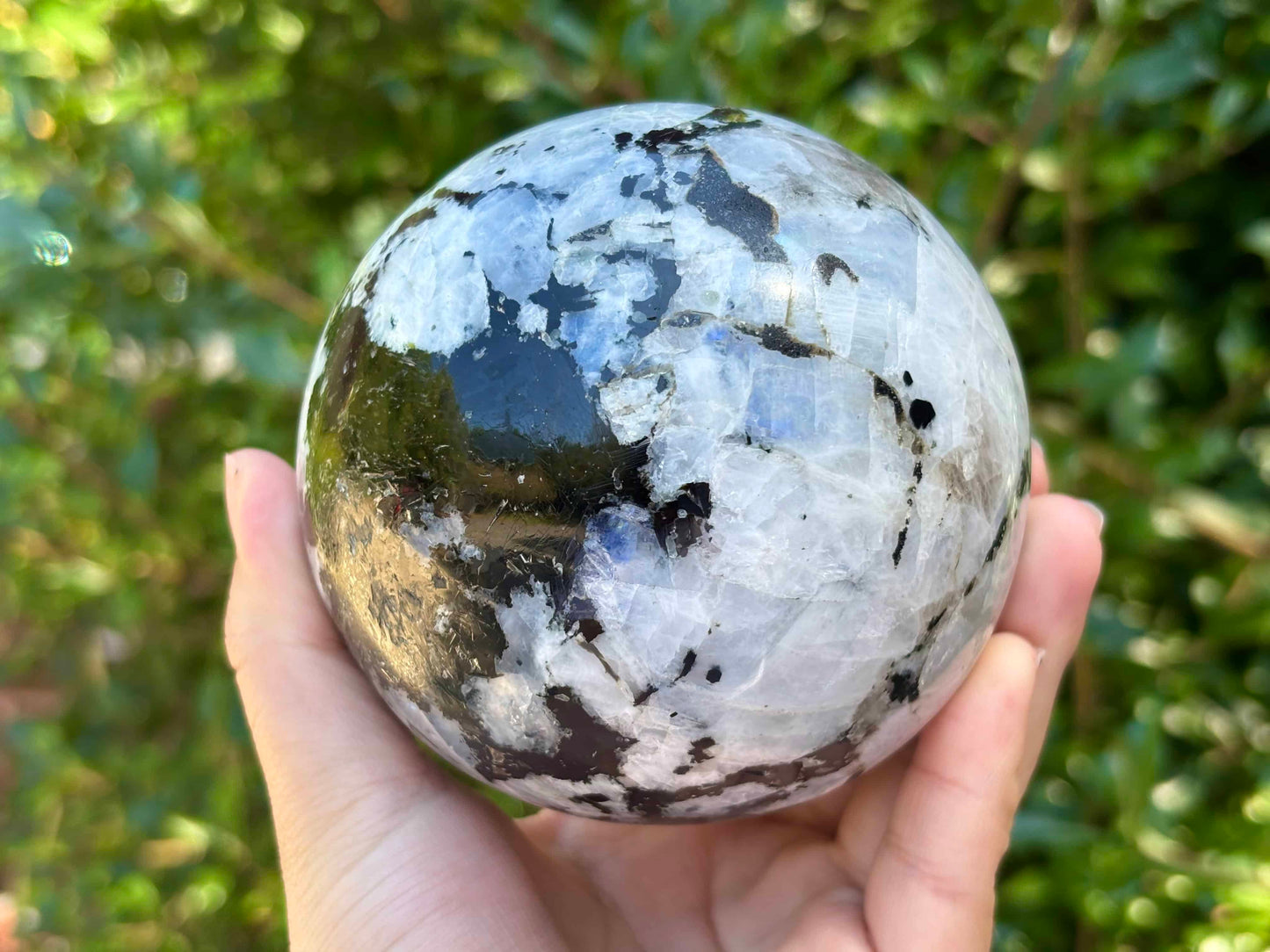 Natural Rainbow Moonstone Crystal Sphere Ball Polished Healing Stone with Blue Flash for Intuition, Energy, Meditation & Home Decor Crystal Ball for Collectors - RBL342