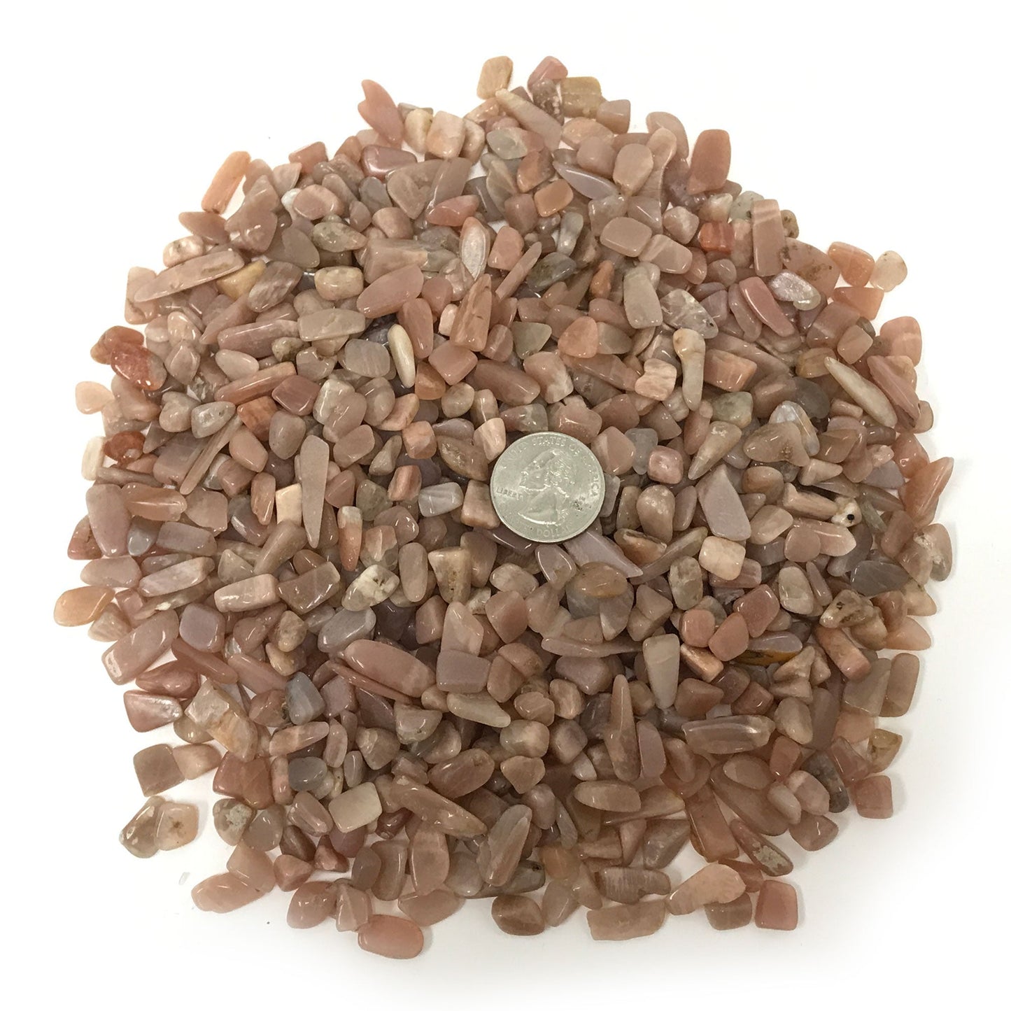 Natural Sunstone Tumbled Chips - Gem Avenue