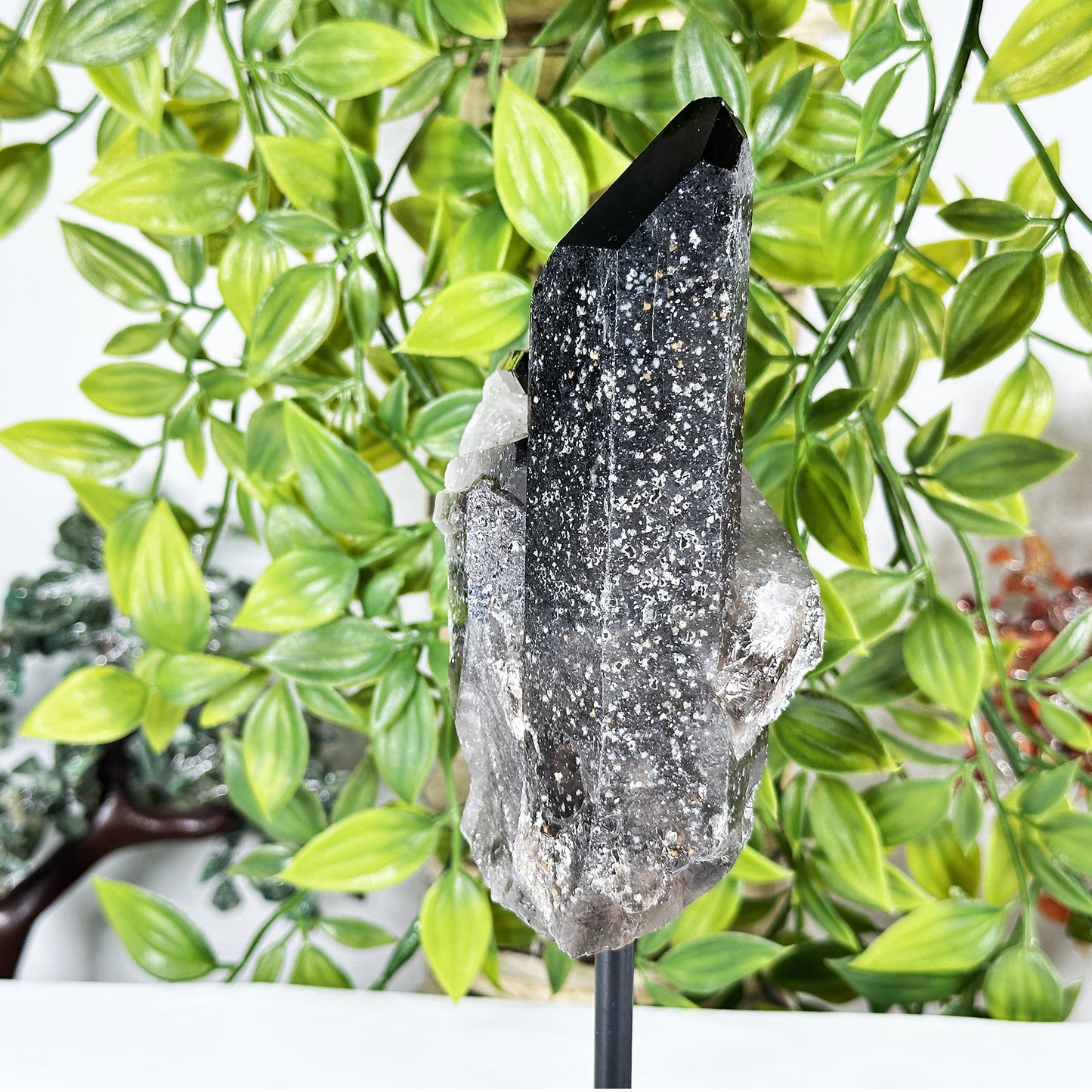 Smoky Quartz Crystal Point on Stand Natural Raw Healing Stone Display - RCR472