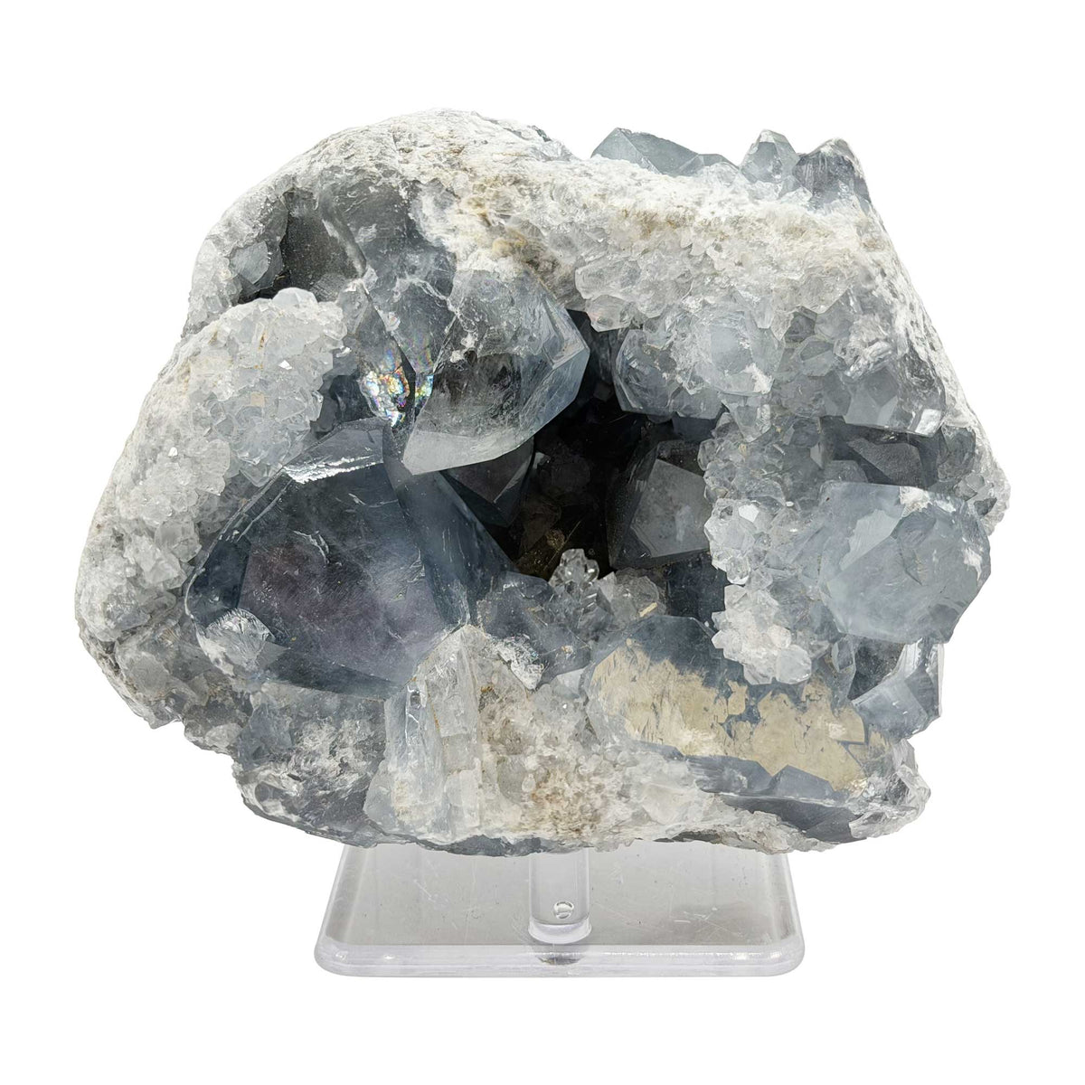 Natural Celestite Geode - Gem Avenue Retail