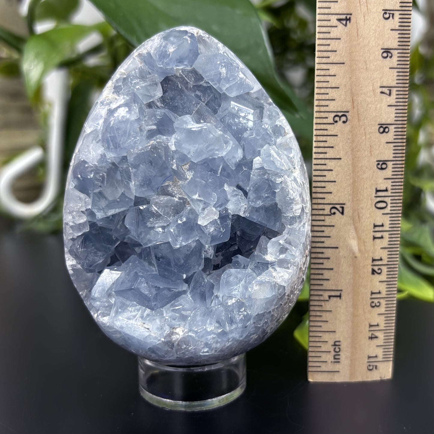 Celestite Crystal Geode - Gem Avenue