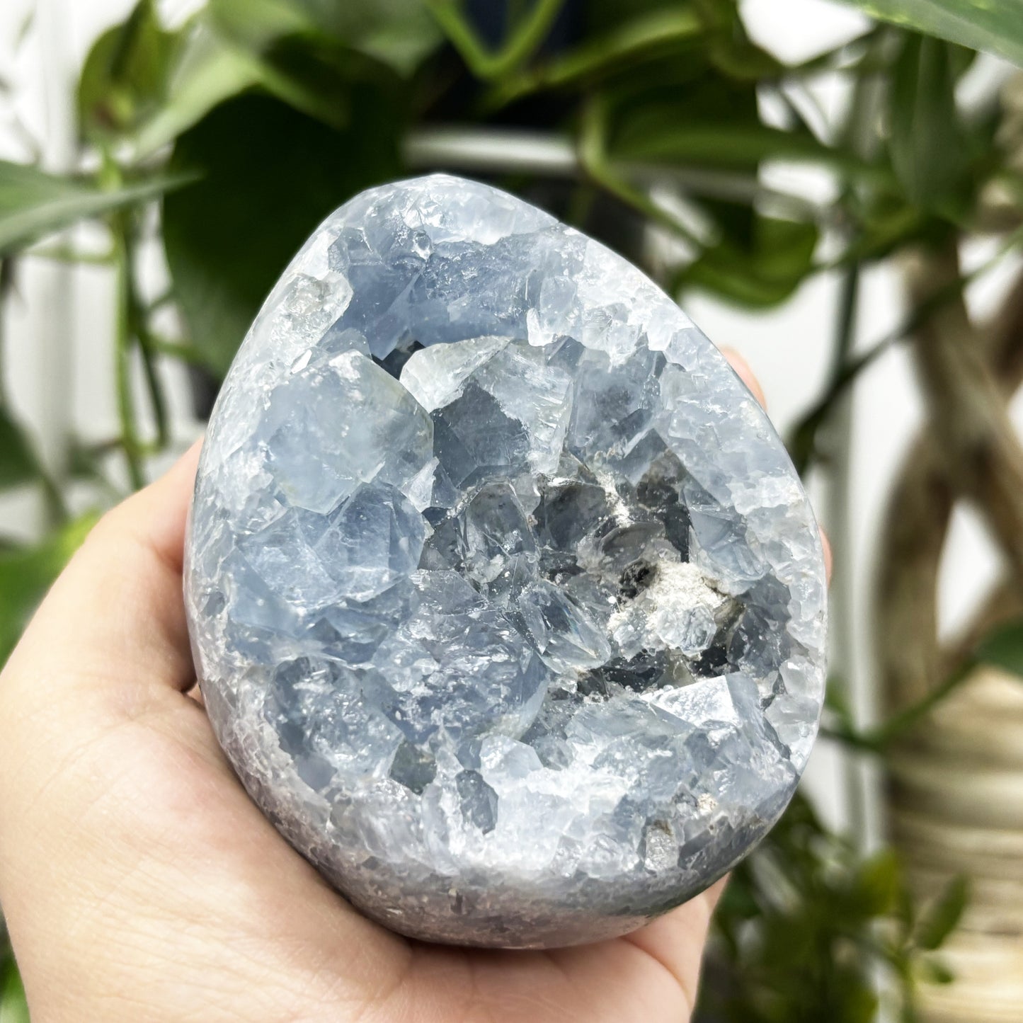 Celestite Crystal Geode - Gem Avenue
