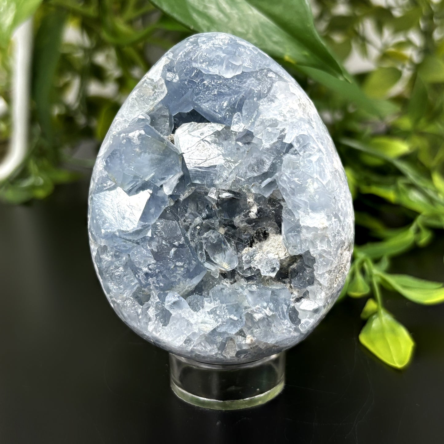 Celestite Crystal Geode - Gem Avenue