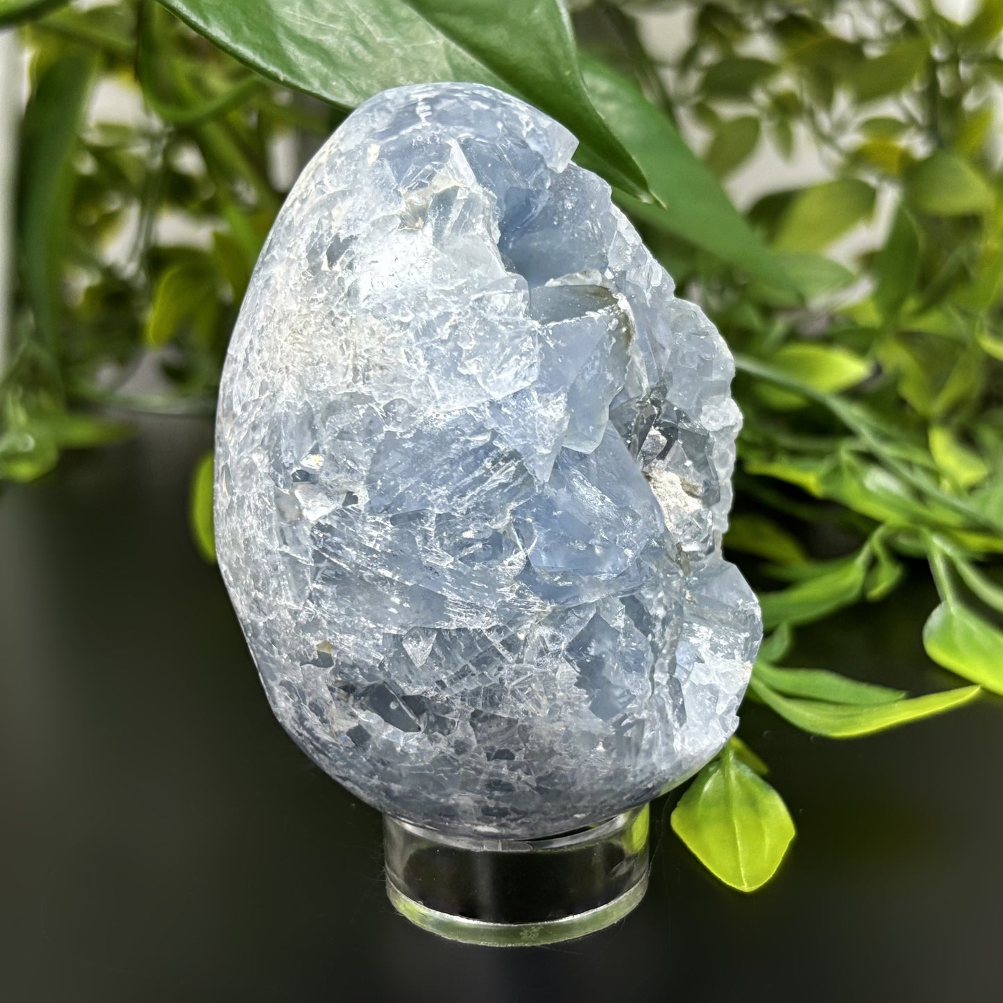 Celestite Crystal Geode - Gem Avenue