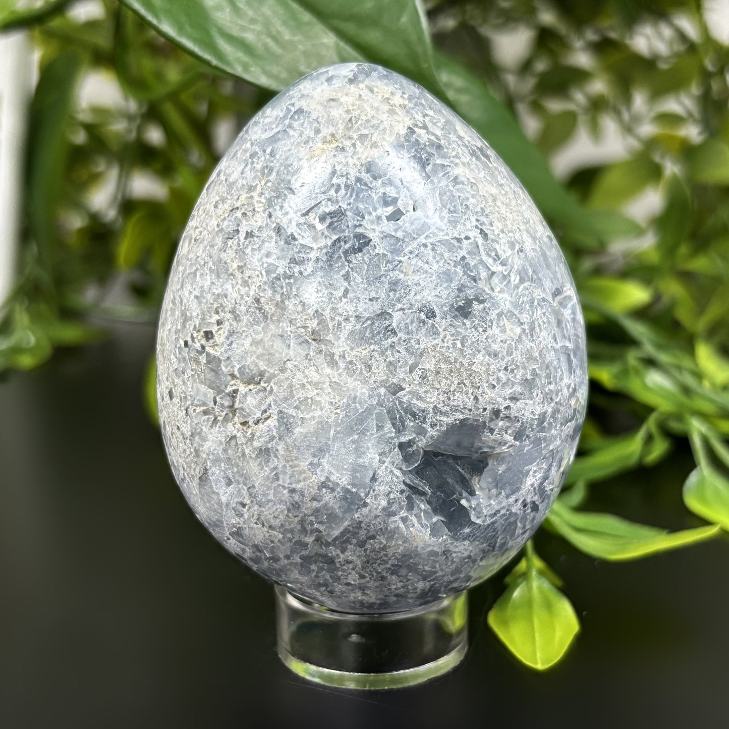 Celestite Crystal Geode - Gem Avenue