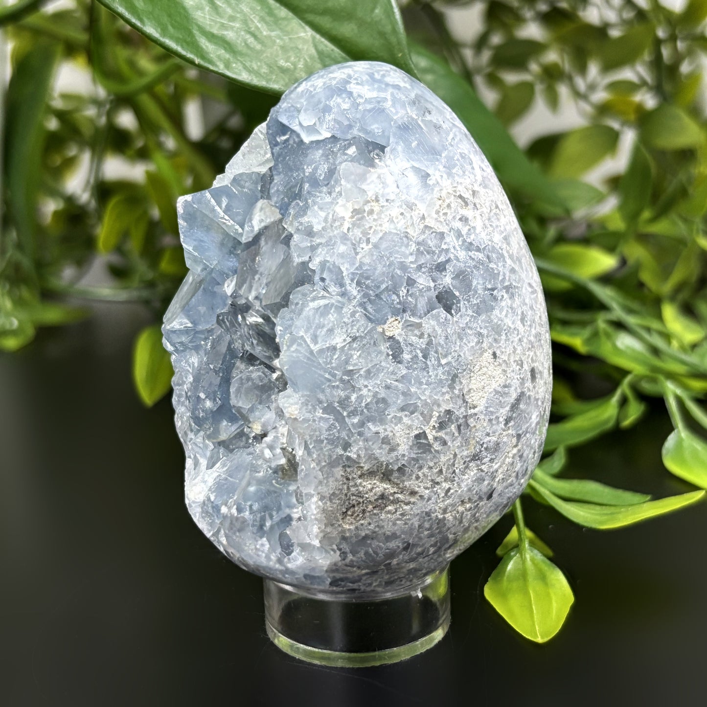 Celestite Crystal Geode - Gem Avenue