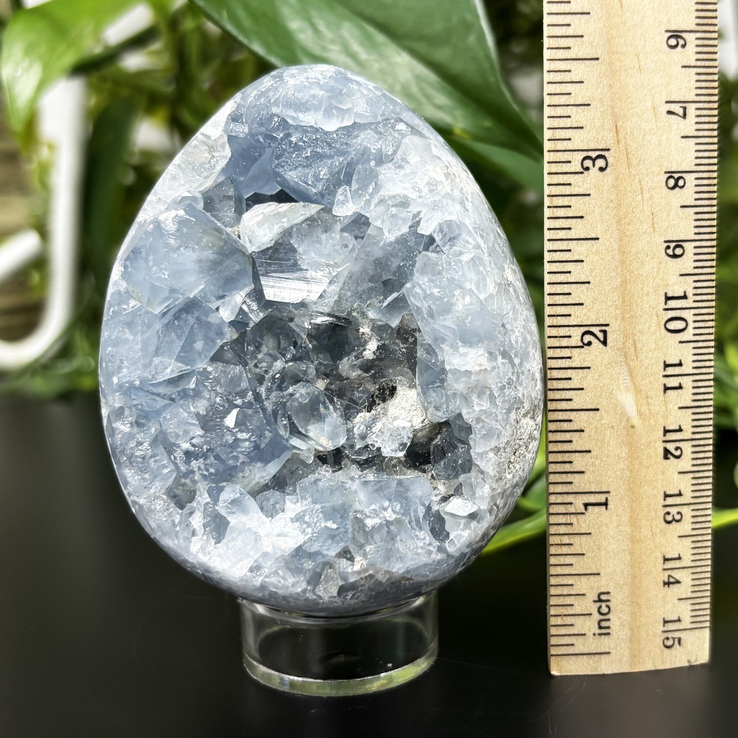 Celestite Crystal Geode - Gem Avenue