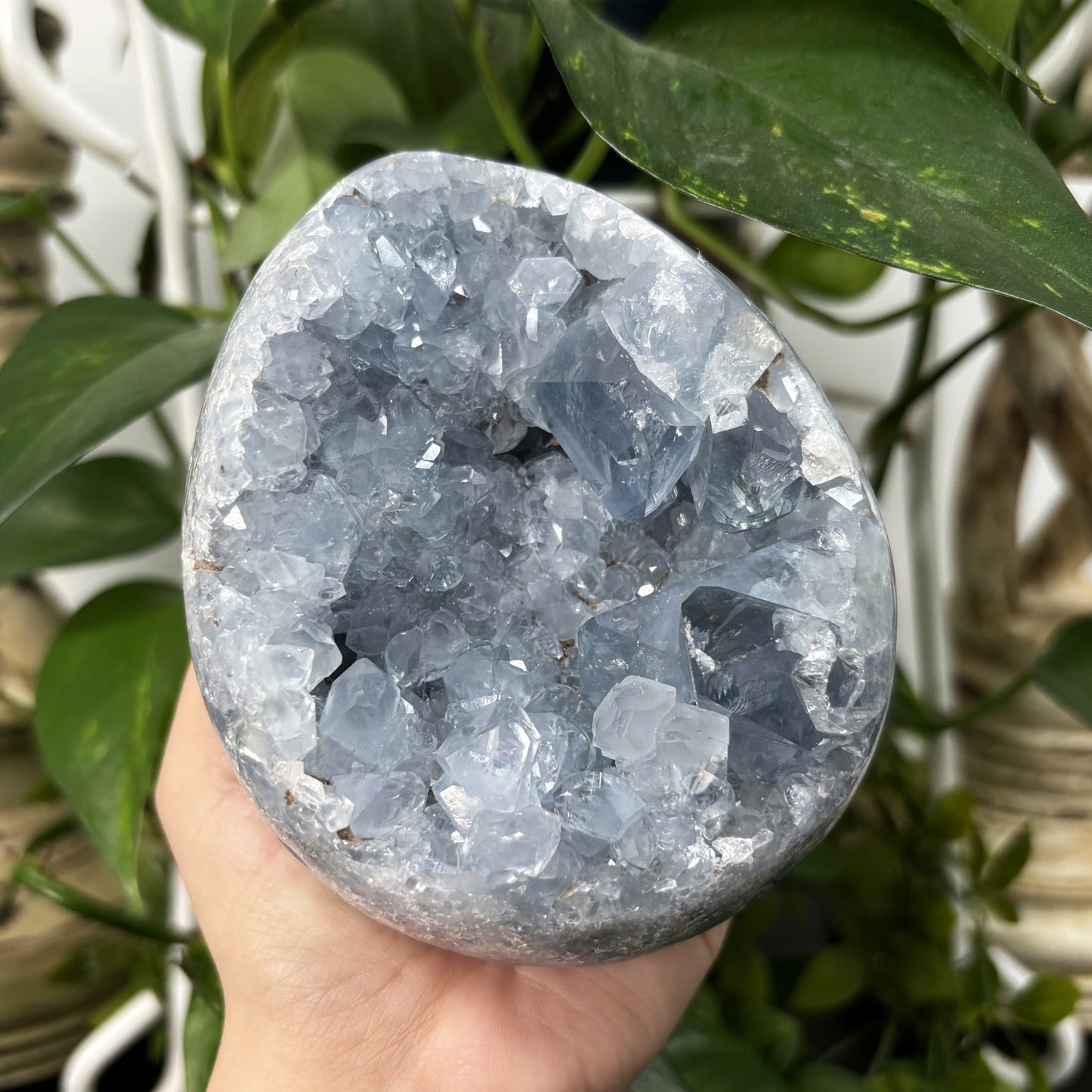 Natural Celestite Crystal Geode Blue Healing Stone for Meditation, Energy Work, Healing & Home Decor Display, Crystal Collecting, Gift for Loved Ones RGD773