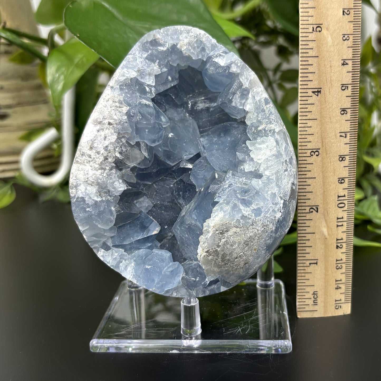 Natural Celestite Crystal Geode Blue Healing Gemstone for Meditation, Energy Work & Spiritual Décor - RGD774