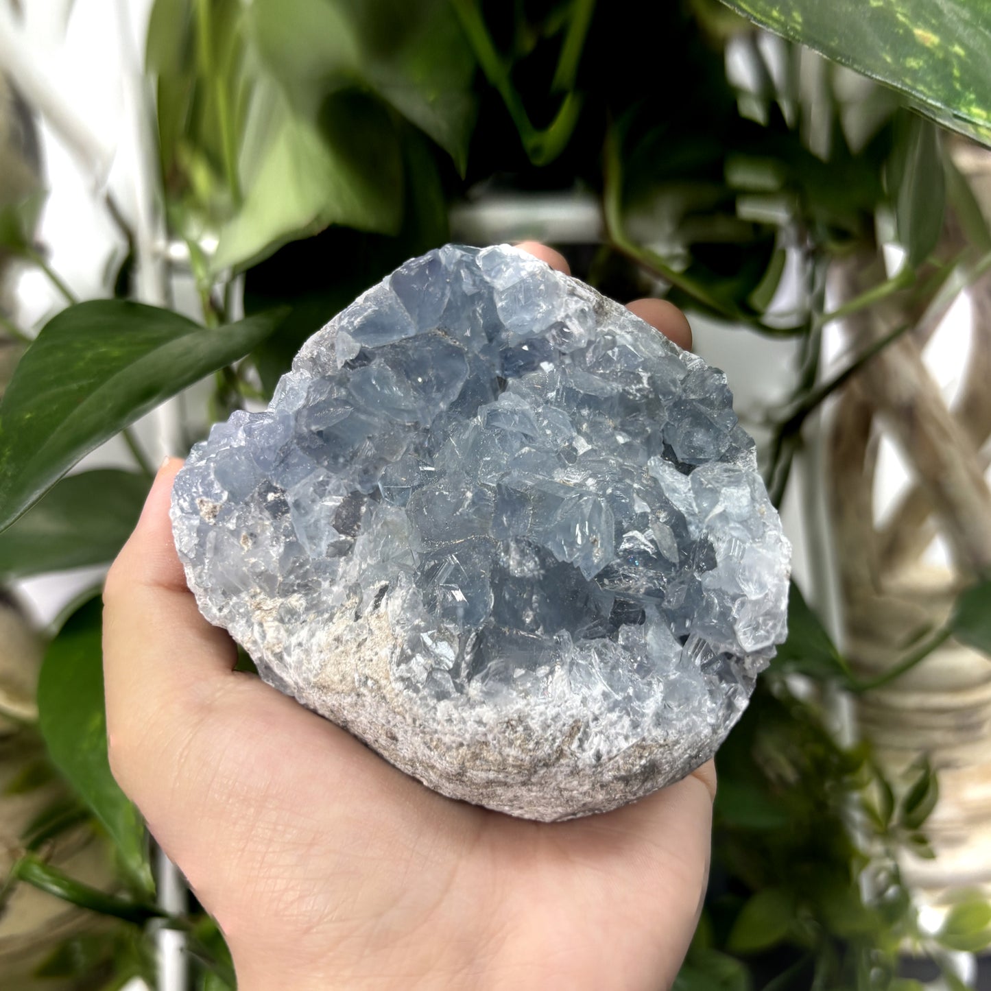Celestite Crystal Geode - Gem Avenue