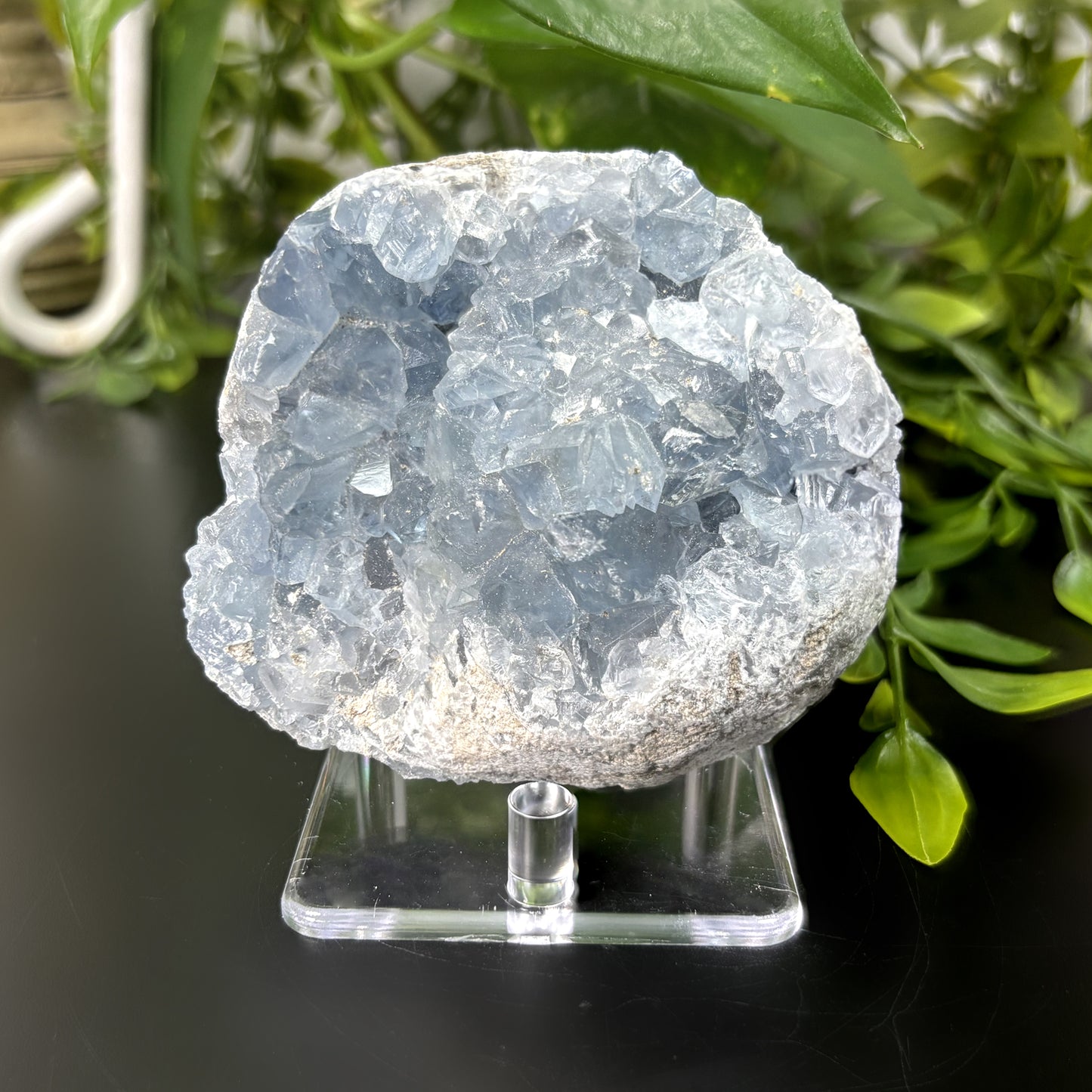 Celestite Crystal Geode - Gem Avenue