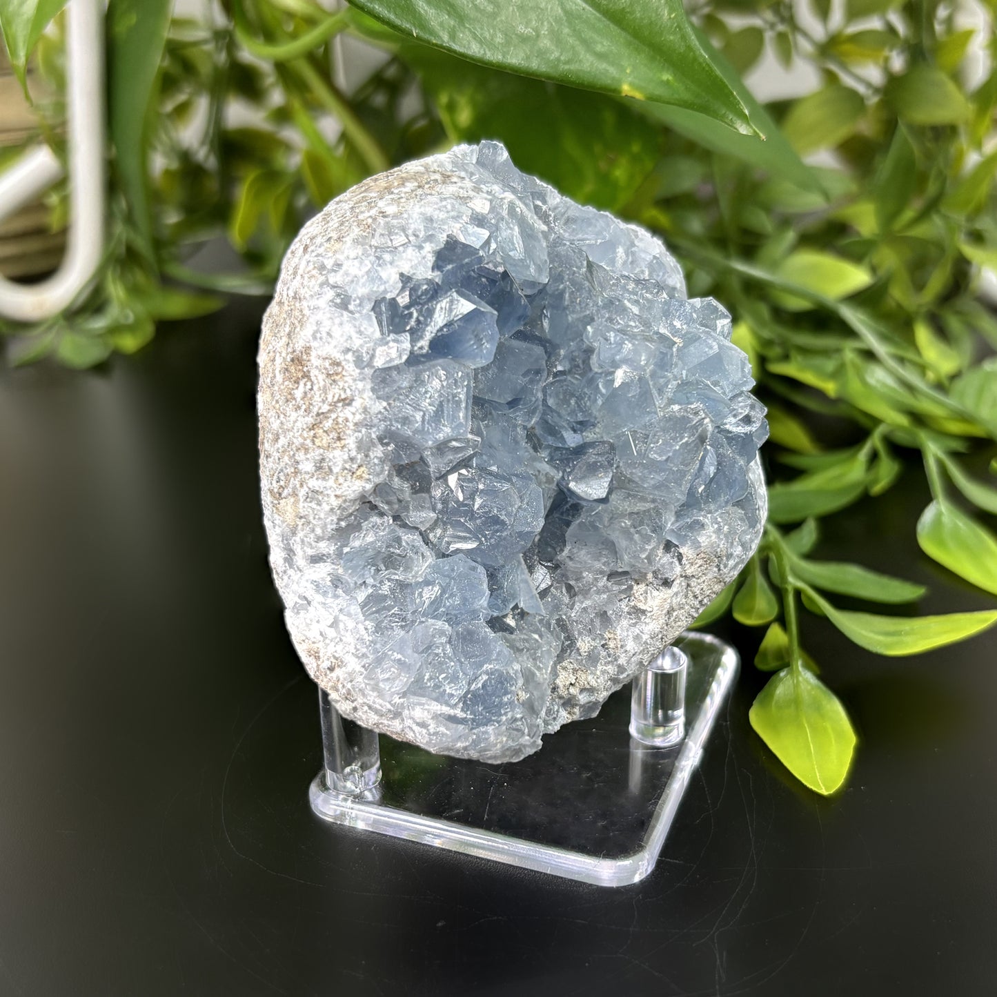 Celestite Crystal Geode - Gem Avenue