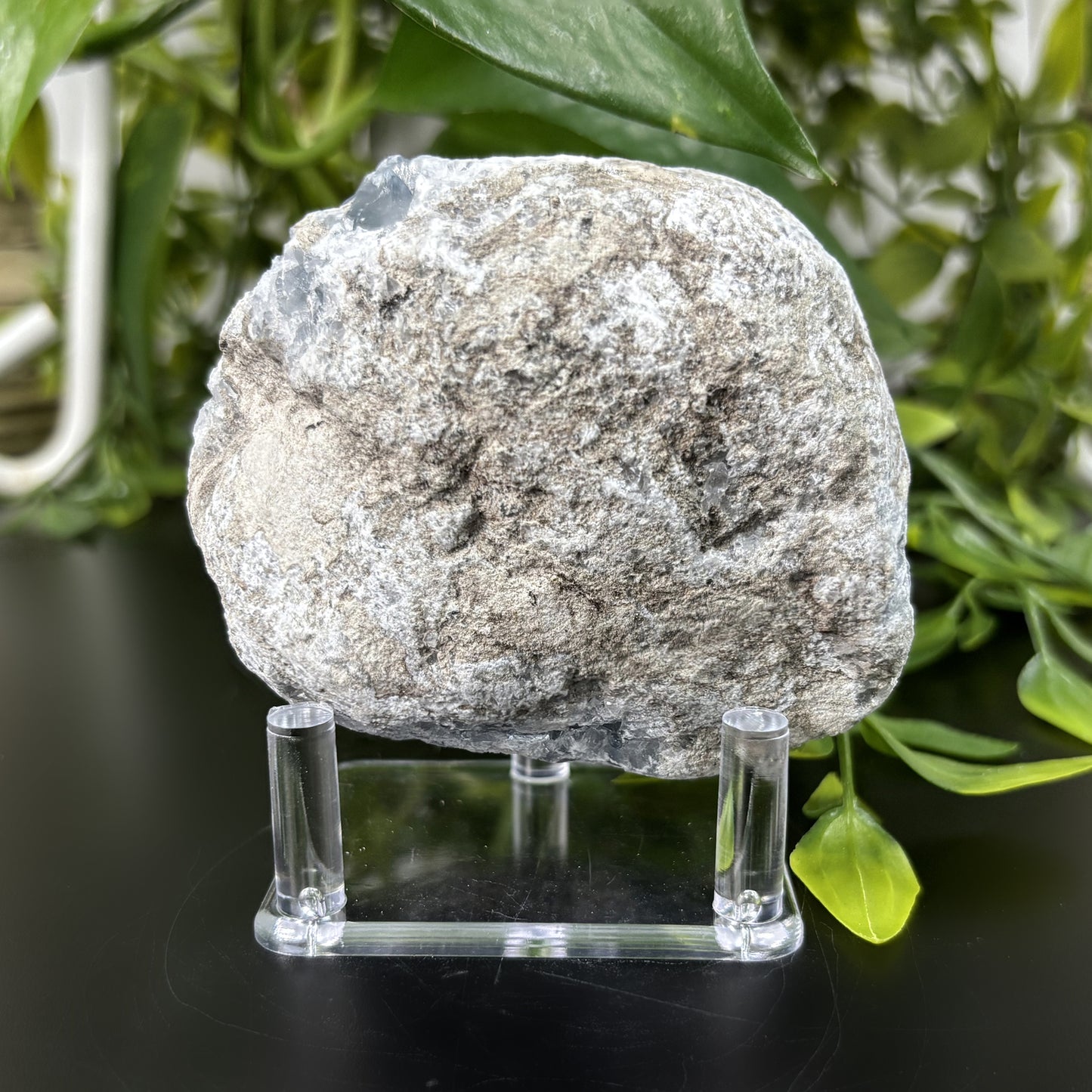 Celestite Crystal Geode - Gem Avenue