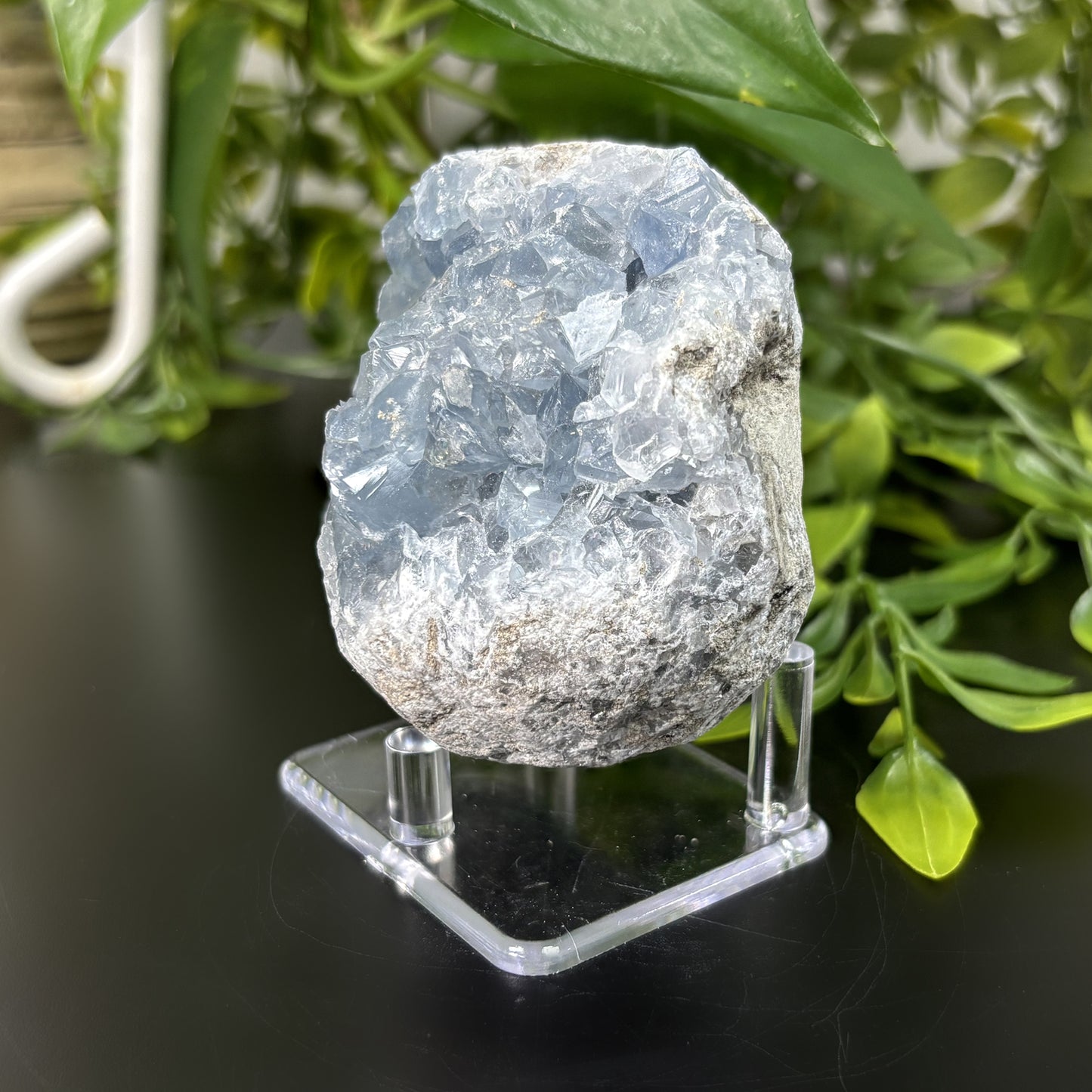Celestite Crystal Geode - Gem Avenue