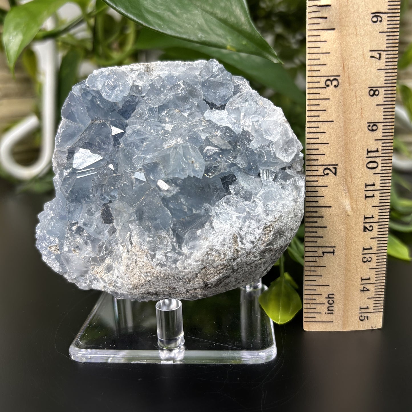 Celestite Crystal Geode - Gem Avenue