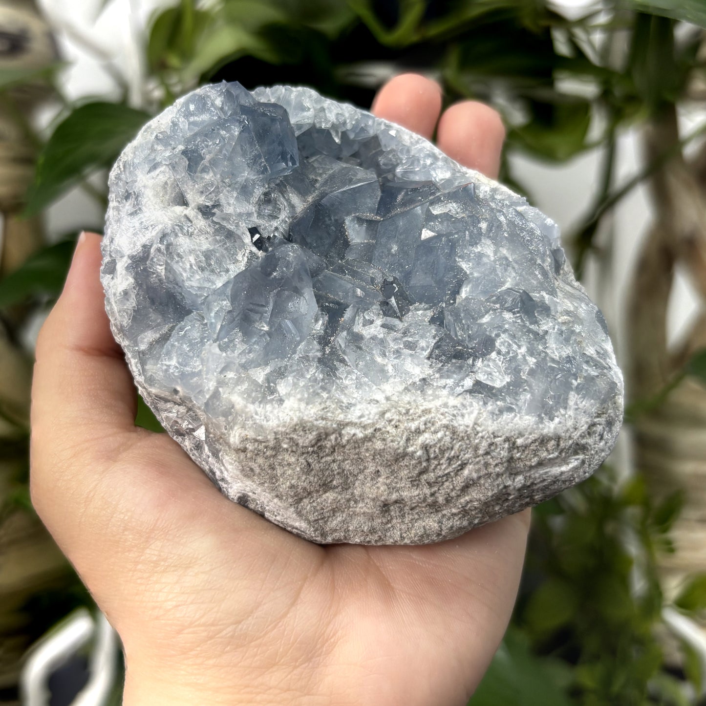 Celestite Crystal Geode - Gem Avenue