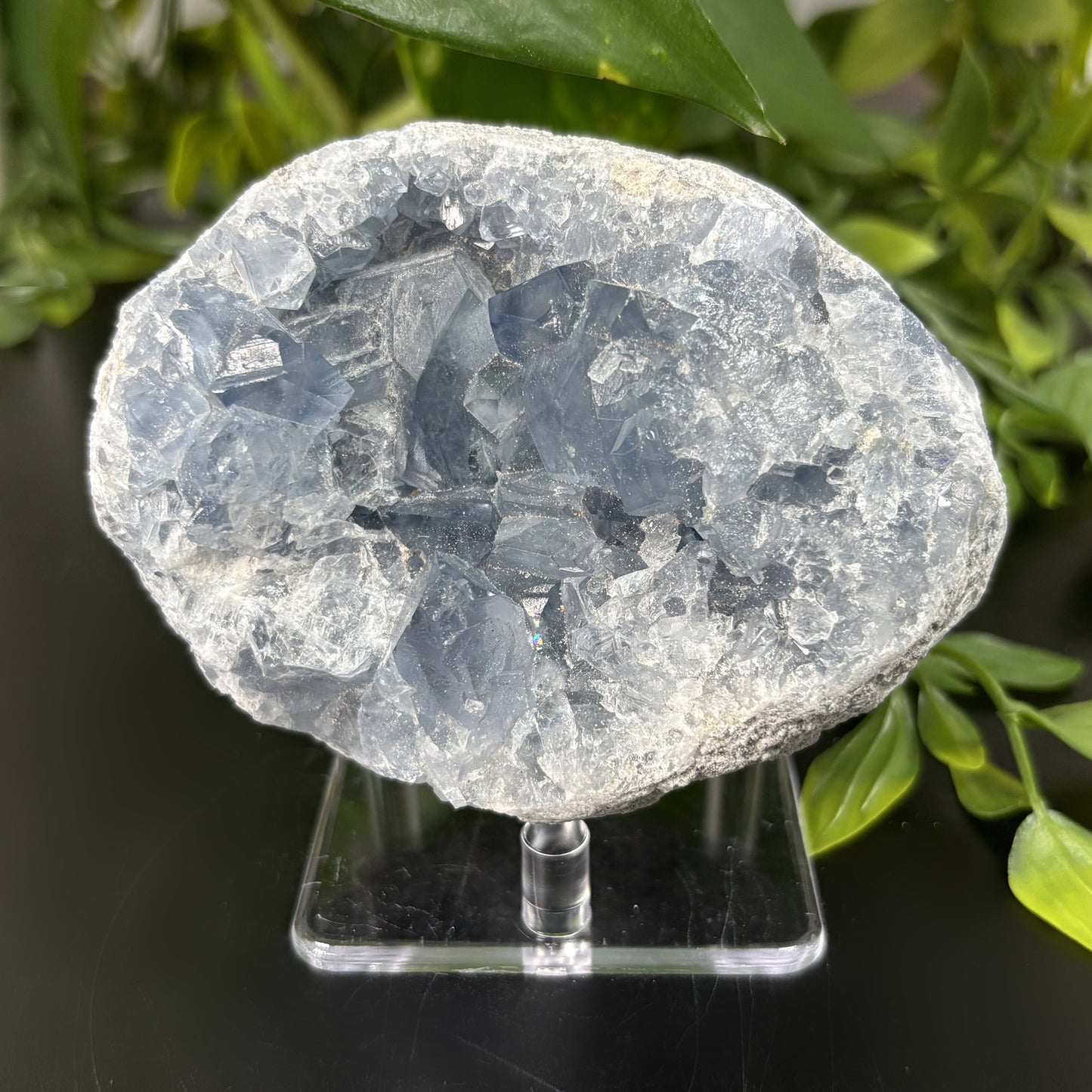 Celestite Crystal Geode - Gem Avenue