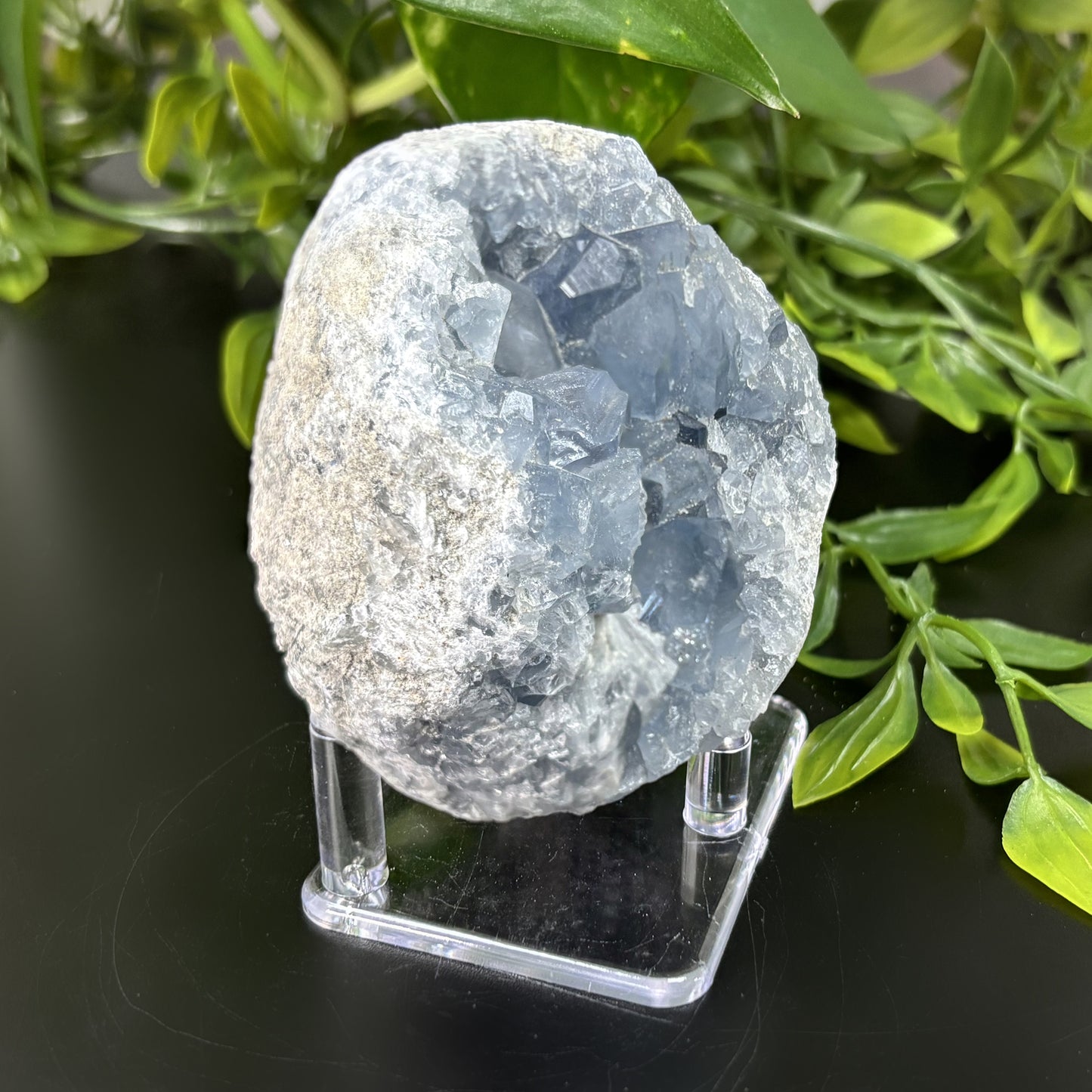 Celestite Crystal Geode - Gem Avenue