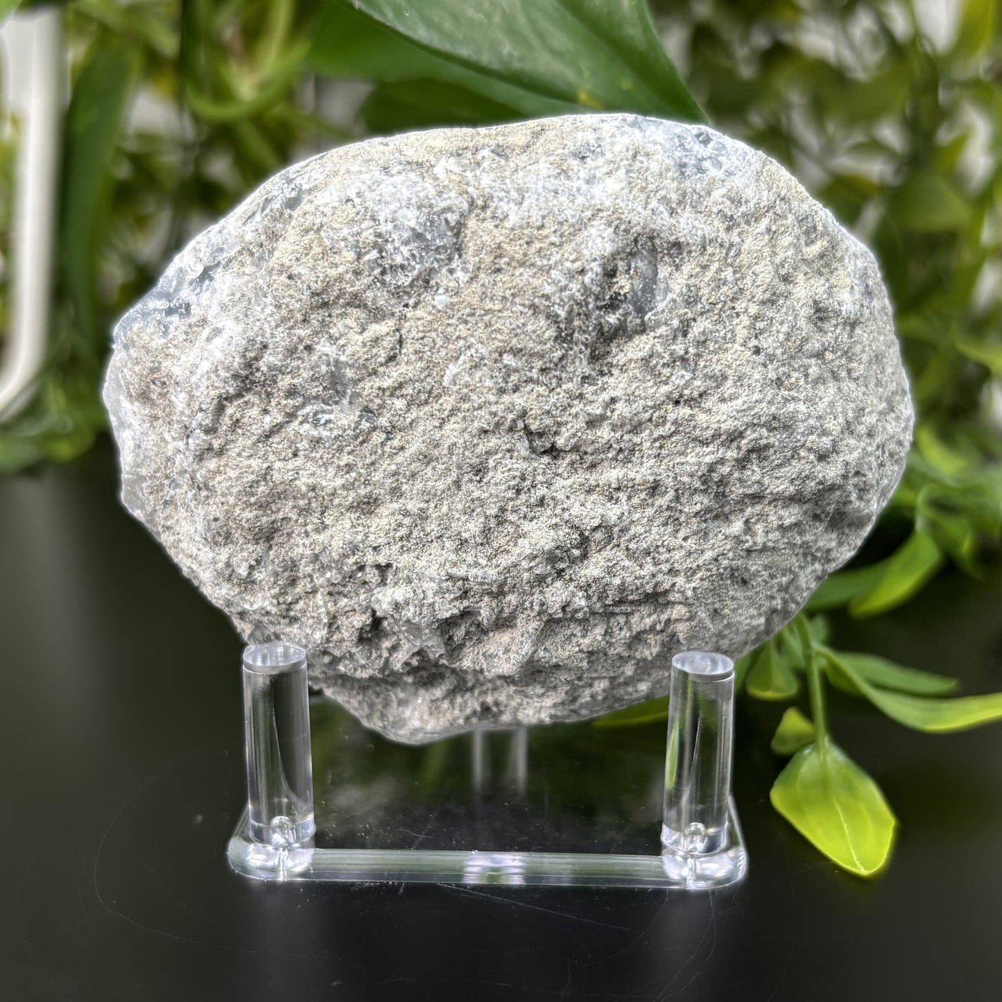 Celestite Crystal Geode - Gem Avenue