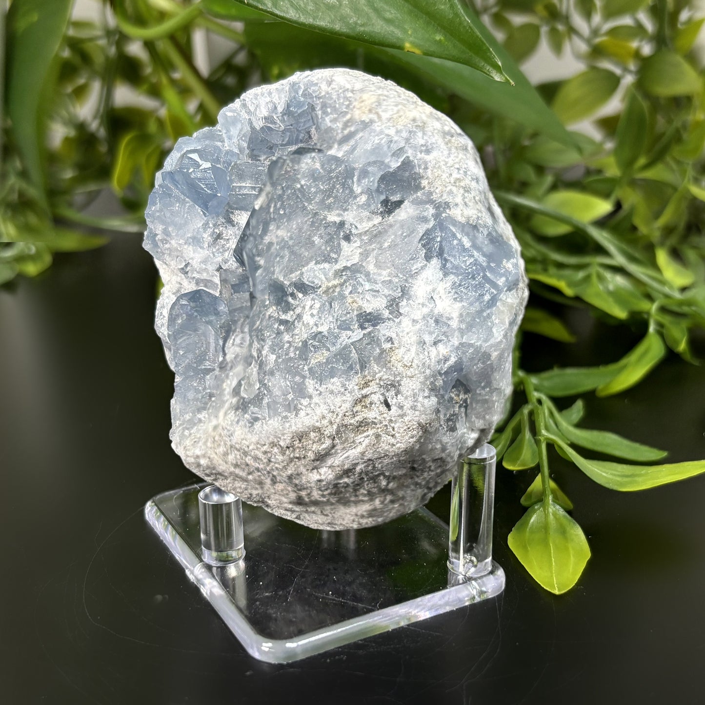 Celestite Crystal Geode - Gem Avenue