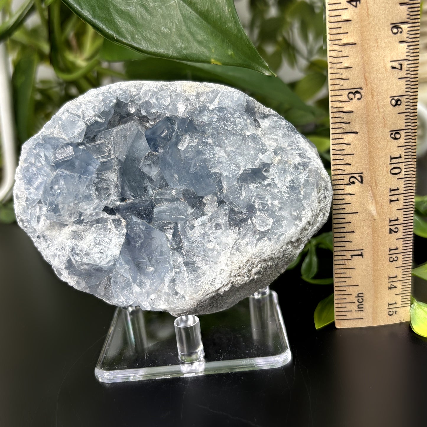 Celestite Crystal Geode - Gem Avenue