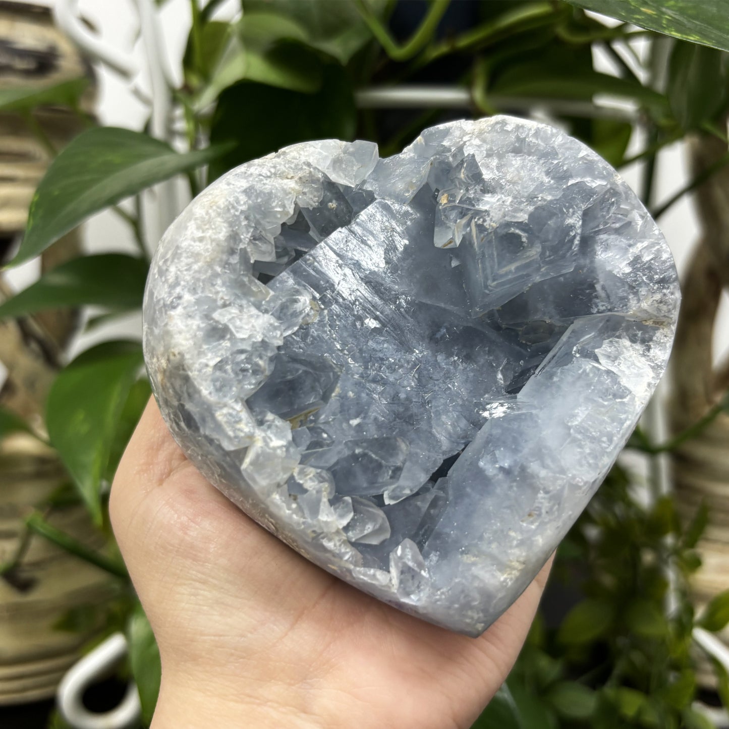 Celestite Crystal Gemstone Geode - Gem Avenue