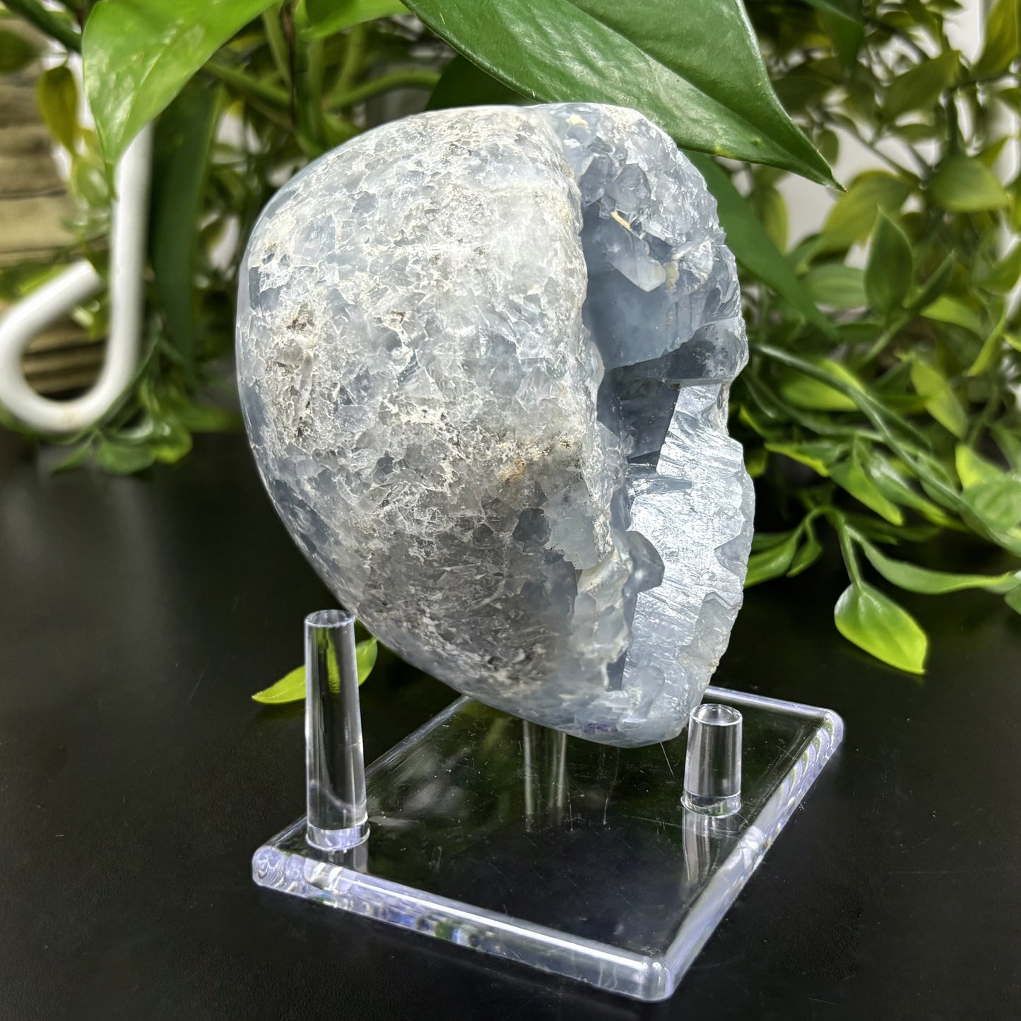 Celestite Crystal Gemstone Geode - Gem Avenue