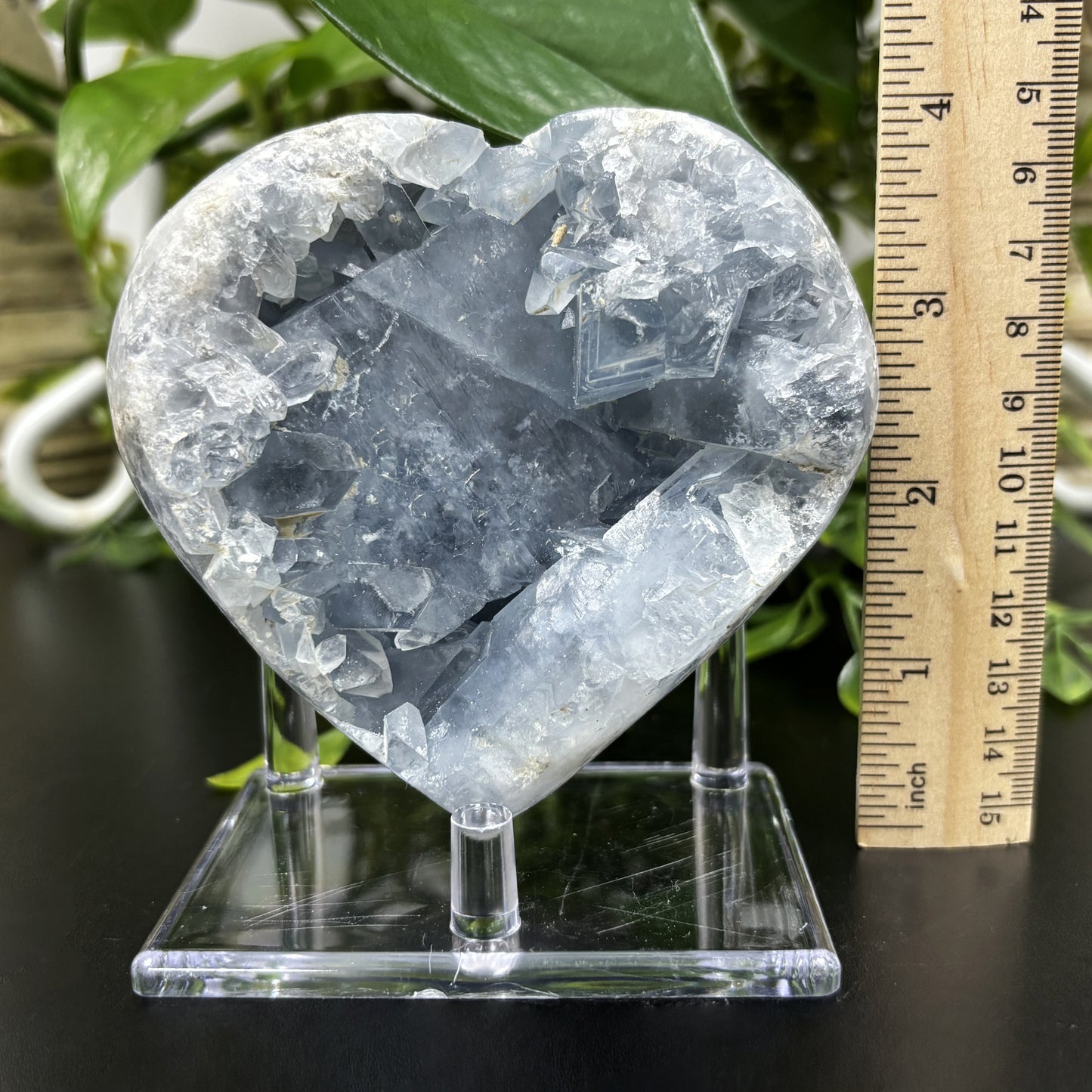 Celestite Crystal Gemstone Geode - Gem Avenue