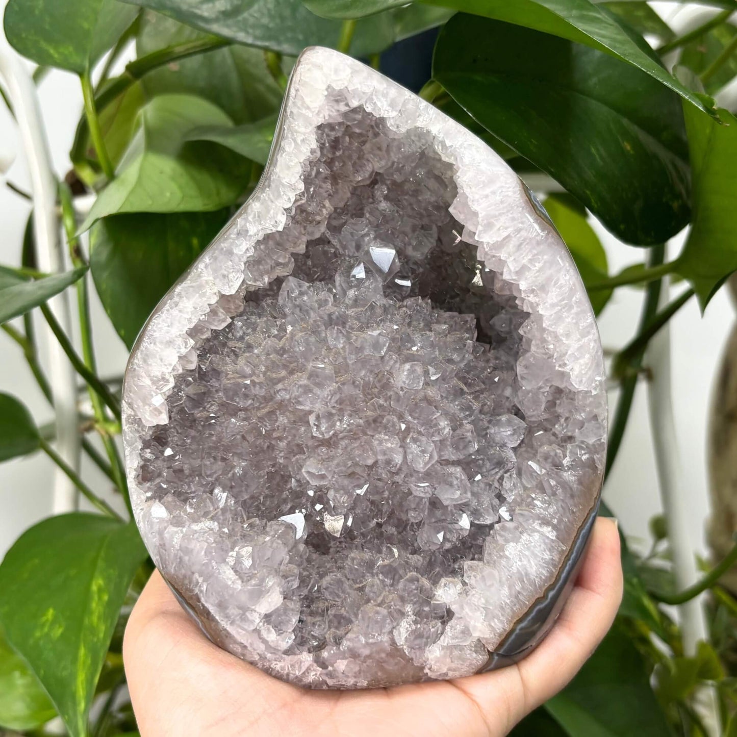 Natural 5" Amethyst Flame Cut Base Crystal Geode – RGD786