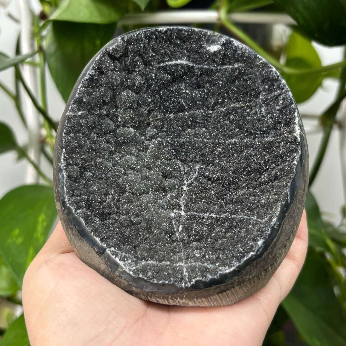 Natural Black Amethyst Crystal Geode Beautiful Gemstone for Home Décor - RGD787