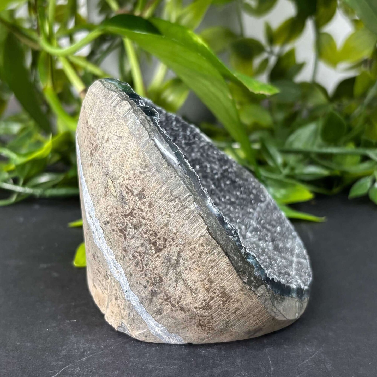 Natural Black Amethyst Crystal Geode Beautiful Gemstone for Home Décor - RGD787