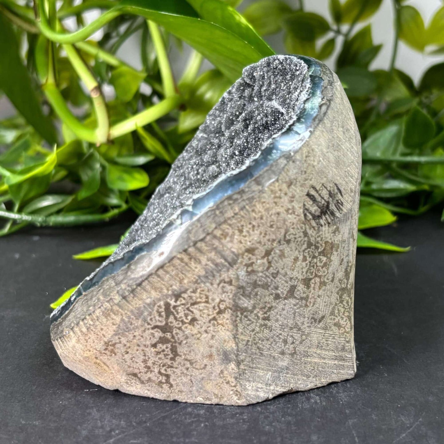 Natural Black Amethyst Crystal Geode Beautiful Gemstone for Home Décor - RGD787