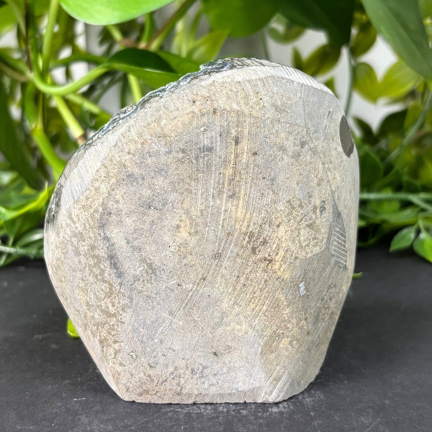 Natural Black Amethyst Crystal Geode Beautiful Gemstone for Home Décor - RGD788