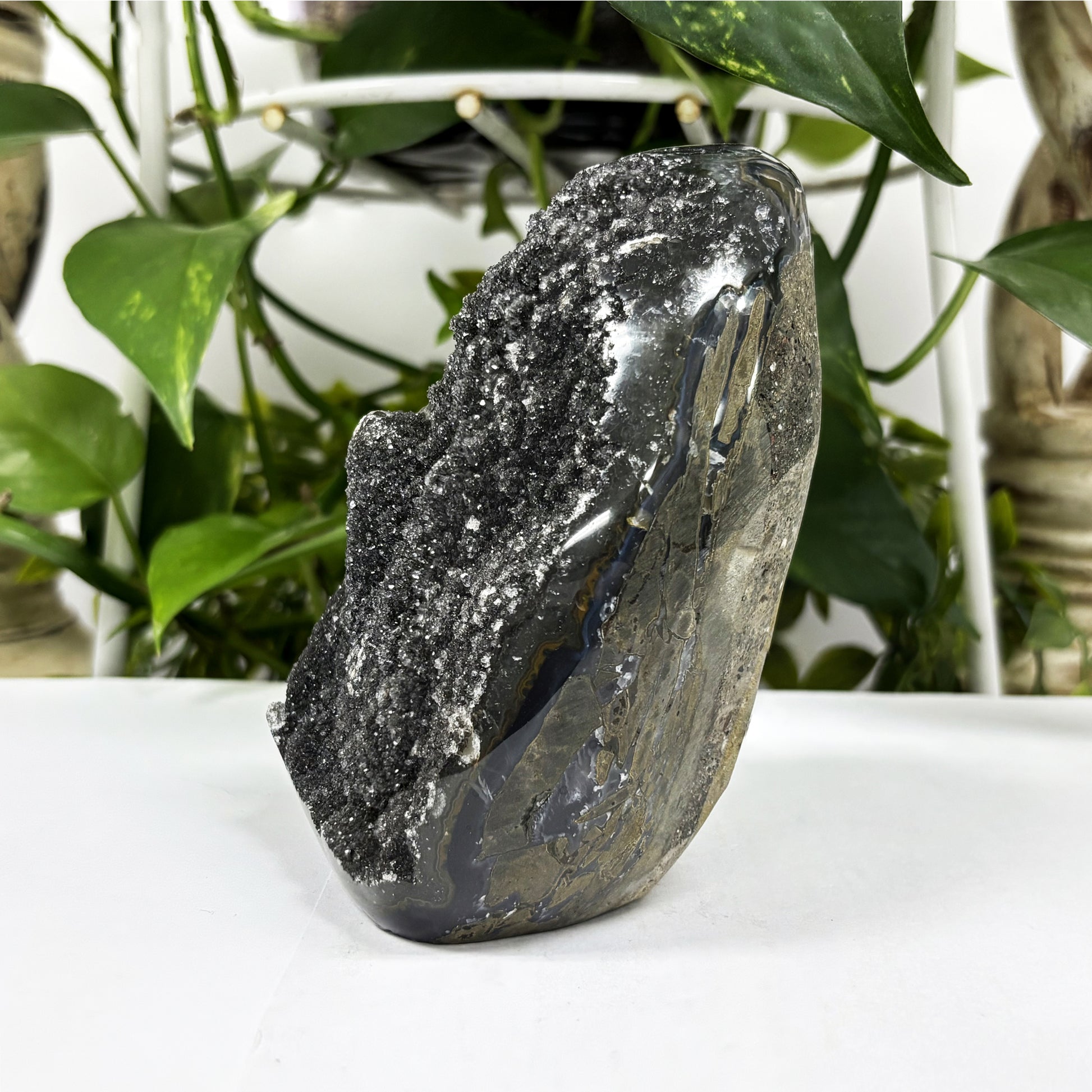 Black Amethyst Cut Base Geode - Gem Avenue